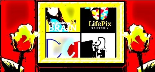 The business brain podcast by ST Rappaport of LifePix University entrepreneur guest Richard Blank