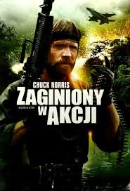 333-zaginiony-w-akcji.jpg