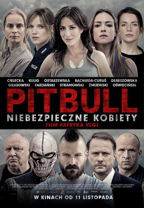 Pitbull.-Niebezpieczne-kobiety.jpg